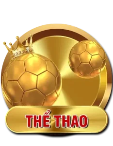 thể thao c168
